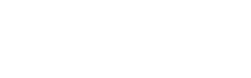 Electrix-Logo-w-t